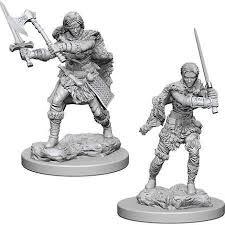 Human Barbarian Female W01